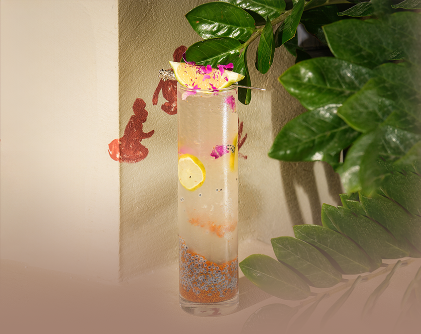 Herb Sophio & Aloe Vera